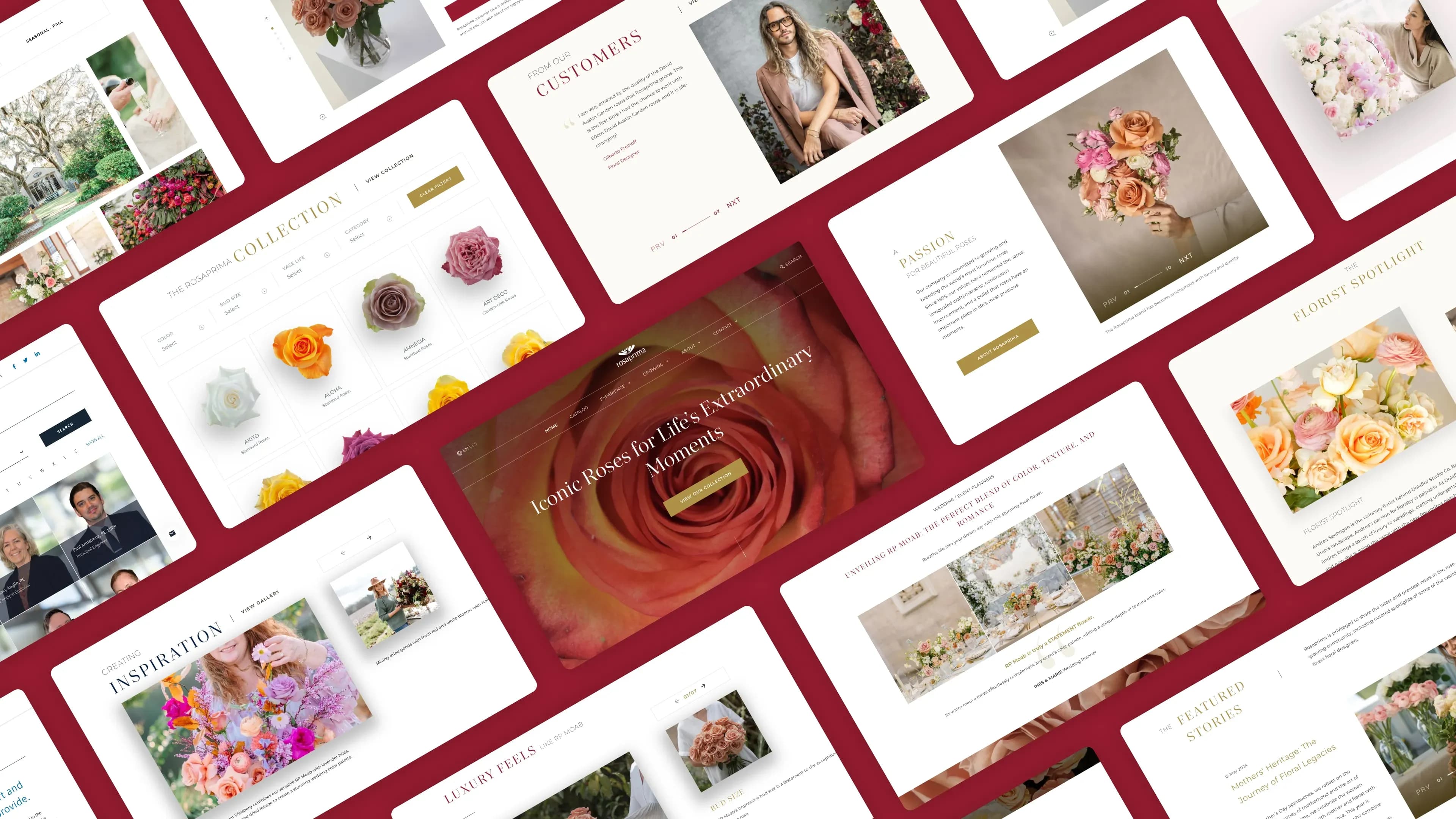 Rosaprima Website Portfolio Banner