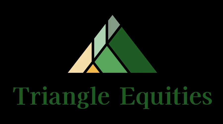 Triangle Equities CRE Logo