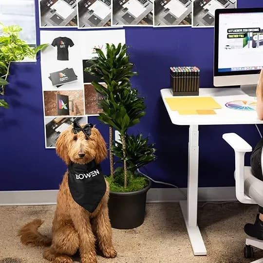 BOWEN Web Design Careers