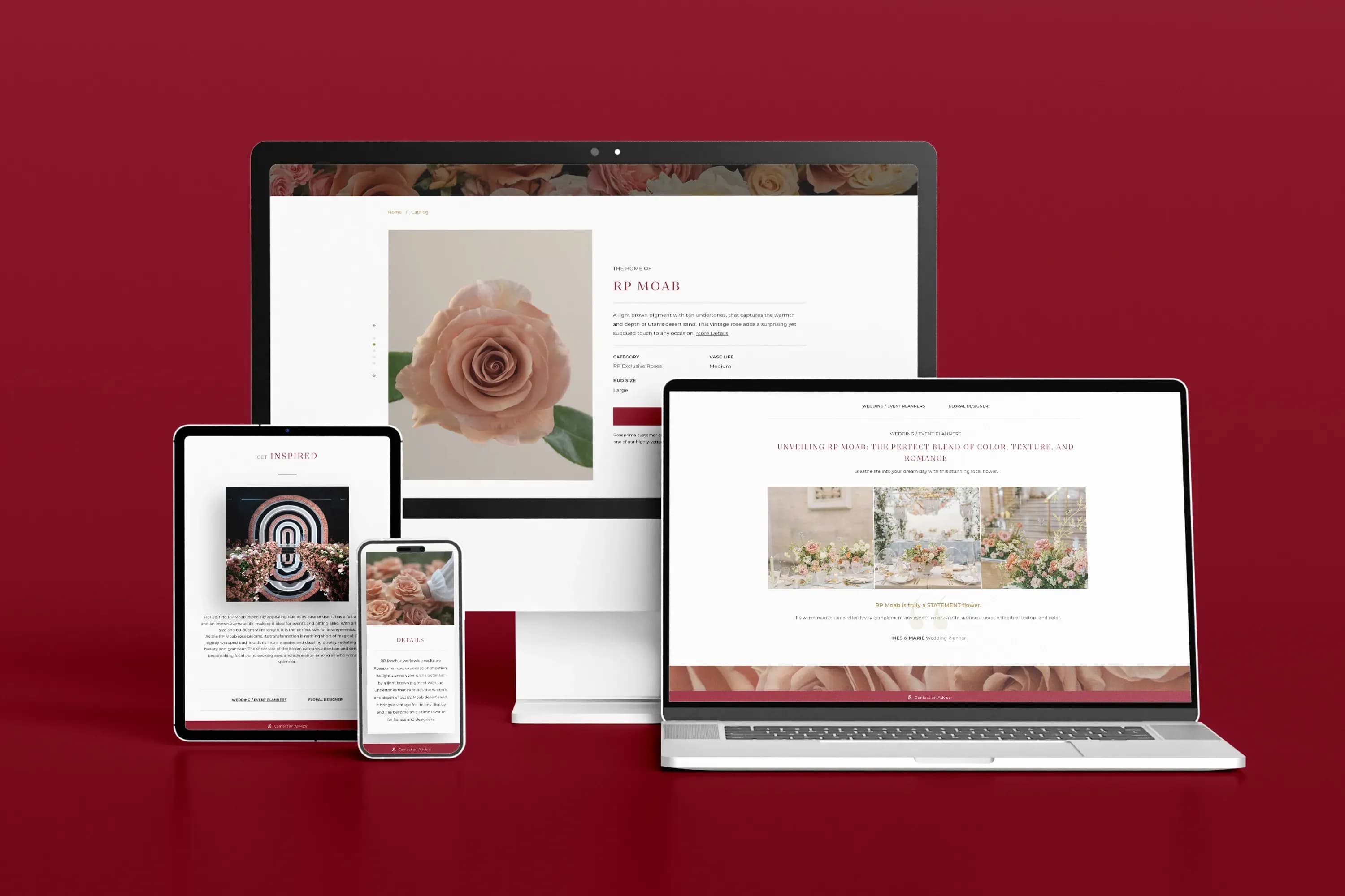 Rosaprima Responsive Web Design for Professionals