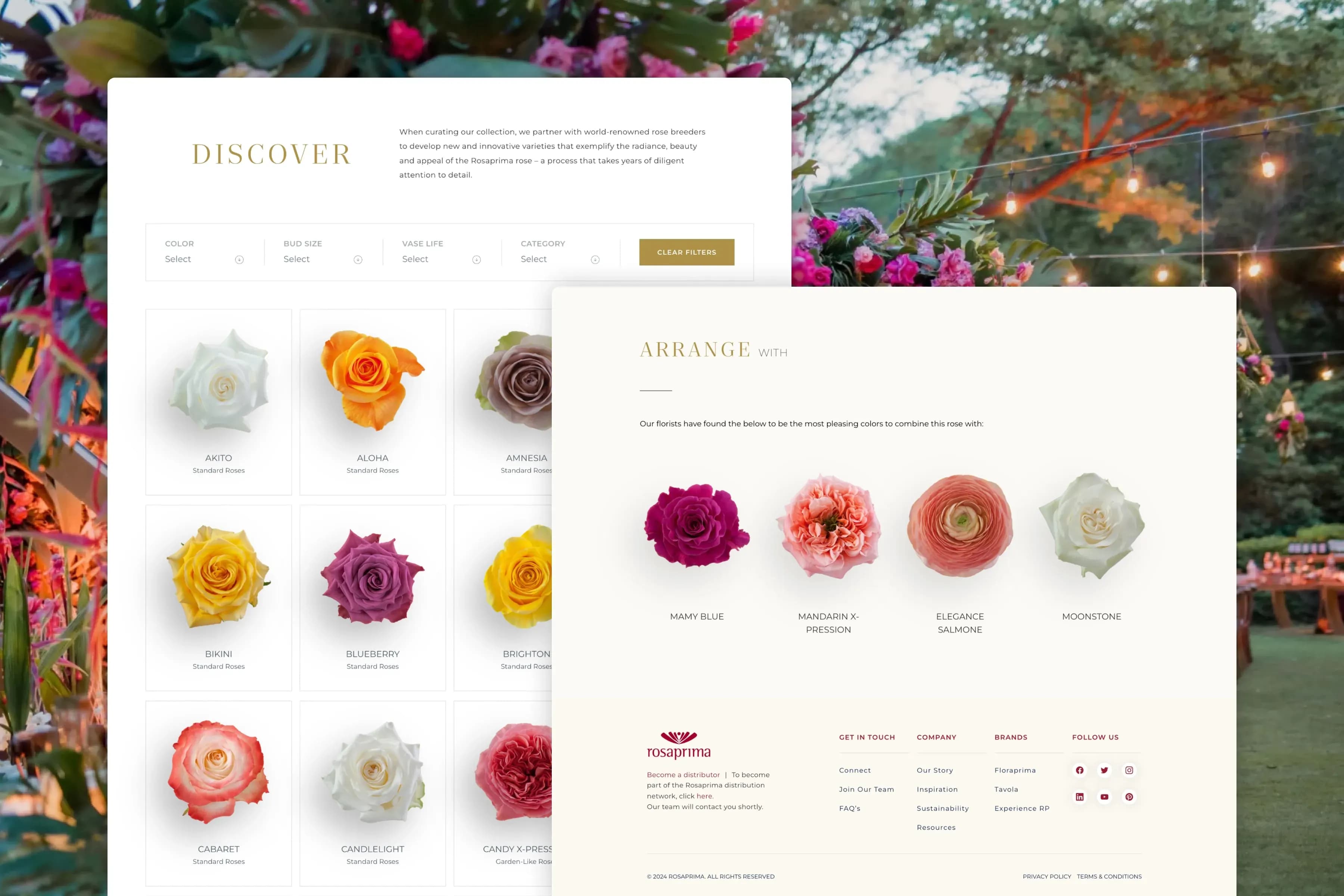 Rosaprima Website - Rose Catalog