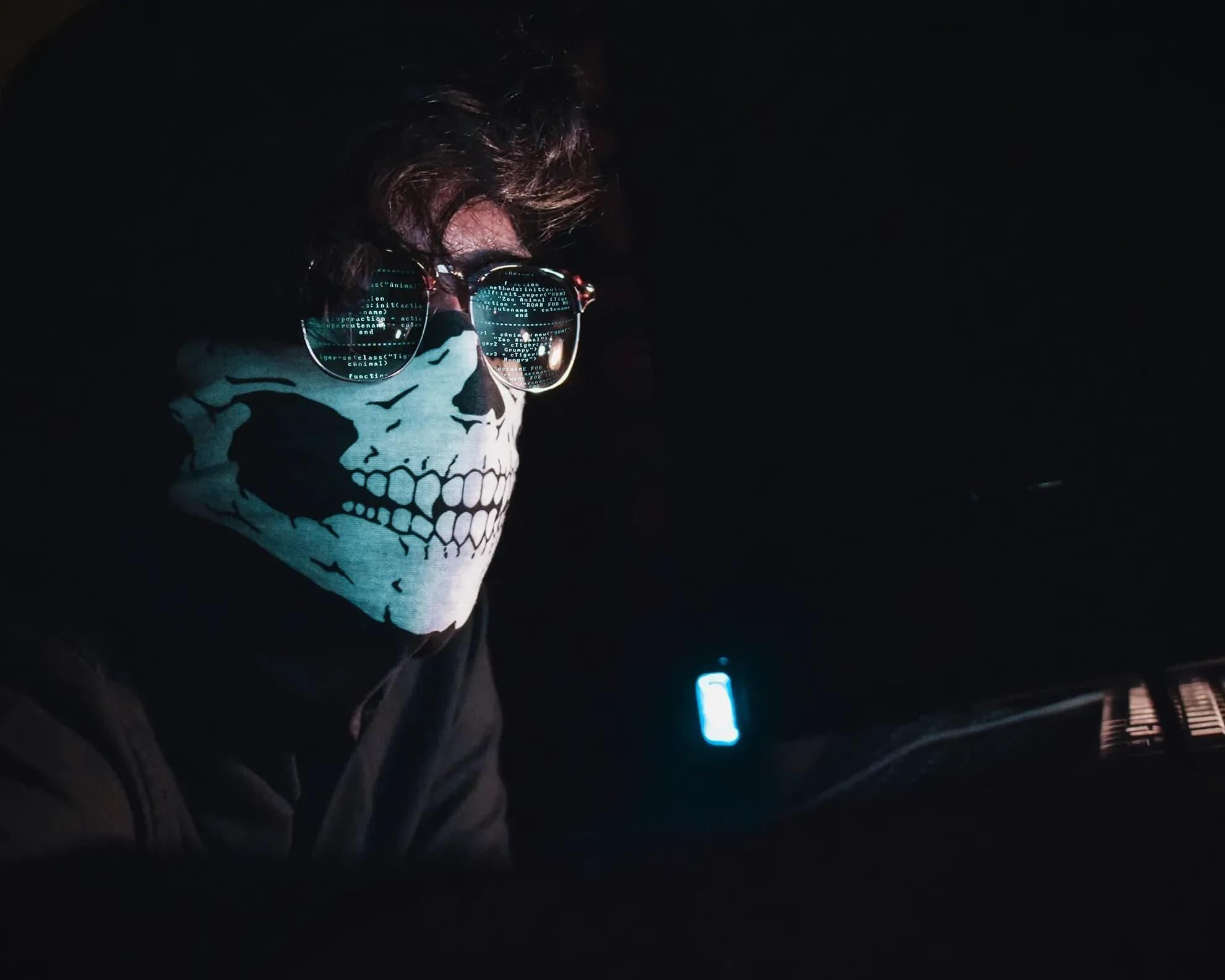 Exploring the Security Vulnerabilities of WordPress for Banks