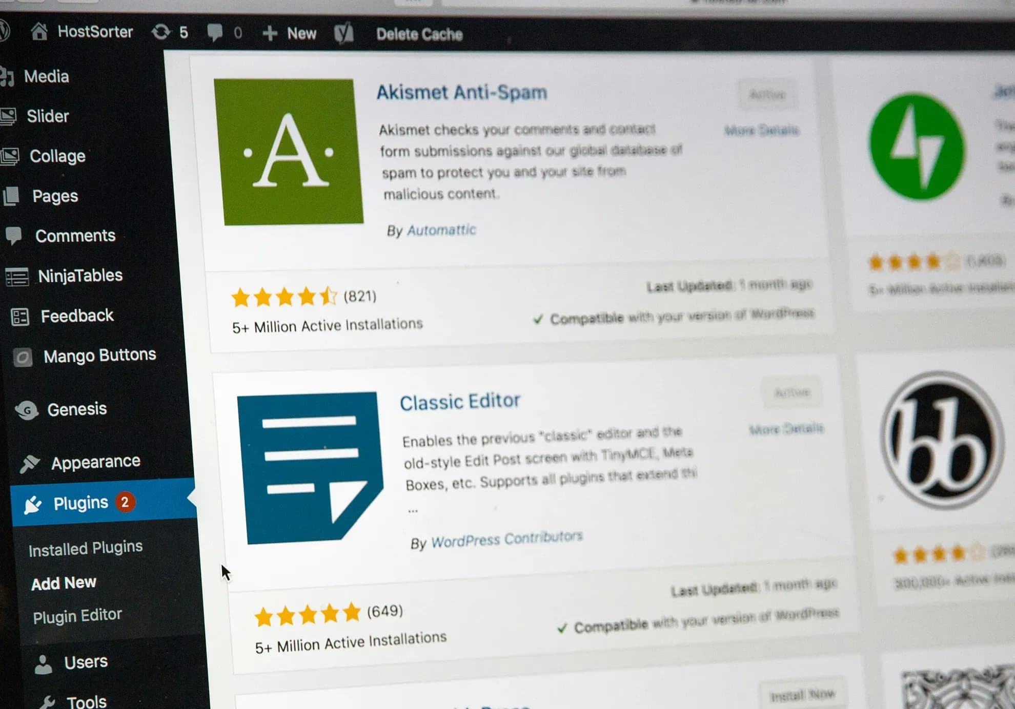 Dangerous Dependencies: The Risks of Relying on WordPress Plugins